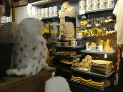 -九又四分之三站台哈利波特商店