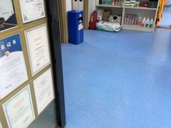 -博特宠物医院24h犬猫全科.骨科·异宠