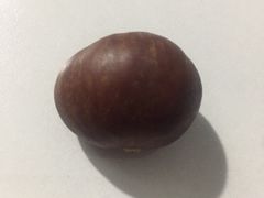 -金栗王(清扬路店)