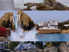 -珠海长隆海洋王国