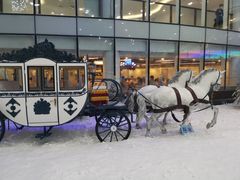 -世界之窗阿尔卑斯冰雪世界