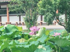 景点-东坡赤壁风景名胜区