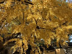 -无锡惠山寺