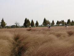 -军山湖云水间水上餐厅(进贤店)