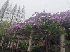 -郑和公园