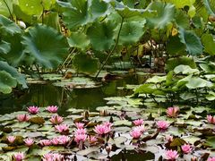 -国家植物园南园