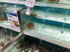 -盒马鲜生(枣园路店)