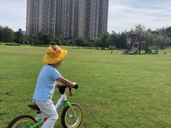 -重庆长寿碧桂园凤悦凤凰酒店