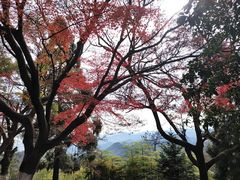 -莫干山风景区