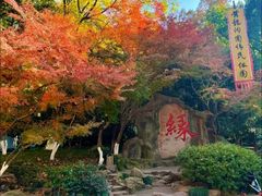 -杭州黄龙洞