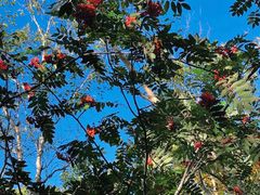 -白草畔自然风景区