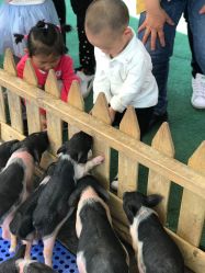 -萌宠亲子动物乐园(槐房万达店)