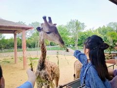 -石家庄市动物园