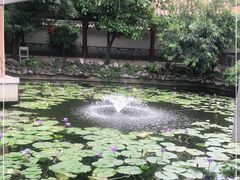 -东江渔村·古典园林·30年粤菜老字号(太和店)