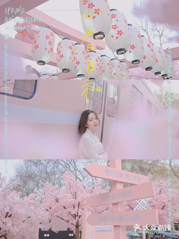 南京玄武湖畔绝美樱花打卡圣地|与春樱的约会