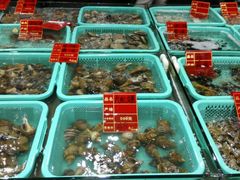 android_upload_pic-渔傅·蓝海岸霞浦海鲜(正祥店)
