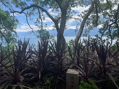 -南诏风情岛
