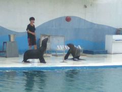 -北戴河圣蓝海洋公园