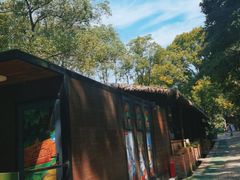 -WeLope紫金山探险公园