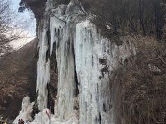 -少华山国家森林公园