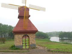 -杭州湾海上花田景区