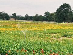 -汉长安城未央宫国家考古遗址公园