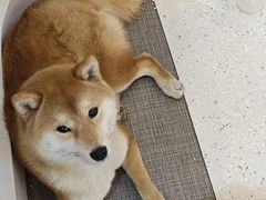 -大连凯丹广场