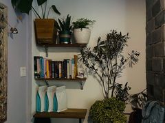 -蓝壁虎咖啡酒馆