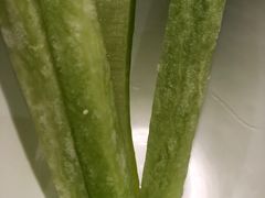 -老板恋上鱼(荣盛广场店)