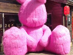 -合肥滨湖国家森林公园