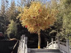 -红螺寺