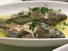 -海晖酒楼·顺德鱼生(荣华店)