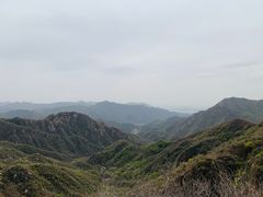 -大岭沟猕猴桃谷风景区