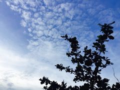 -金巴兰海滩烛光bbq