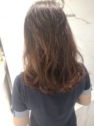 -潘多拉Hairsalon