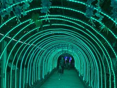 -呀路古热带植物园