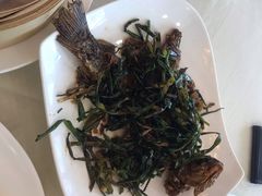 -王宝和酒家(黄浦店)