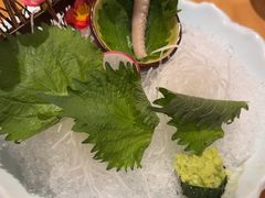 -鮨桐日本料理(望京店)
