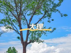 -大理古城