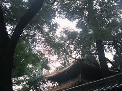 -北京国子监胡同