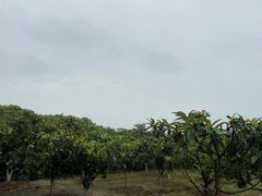 -呼吸森林·生态农庄农家乐私房菜