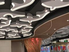 -阿五黄河大鲤鱼(海尚店)