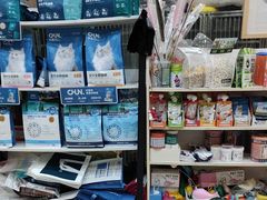 -米苏动物医院·犬猫专科·骨科外科内窥镜