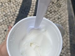 -洪馨椰子