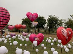 -眉山湿地公园(东坡区)