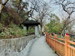 -大渡口区义渡公园