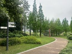 -眉山湿地公园(东坡区)