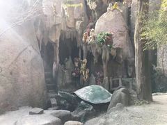-嵖岈山风景区