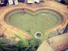 iphone_upload_pic-华侨城阳宗海海景温泉
