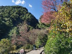 -苍山感通索道